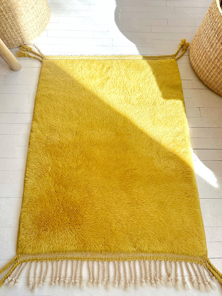 Handknotted Wool Rug - 2'6"W x 3'4"L